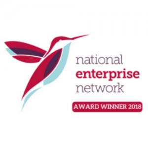 Enterprise Team of the Year logo